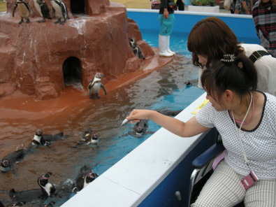 竹之内ペンギン