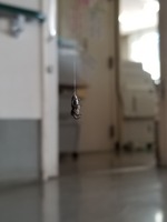 20171026_130052