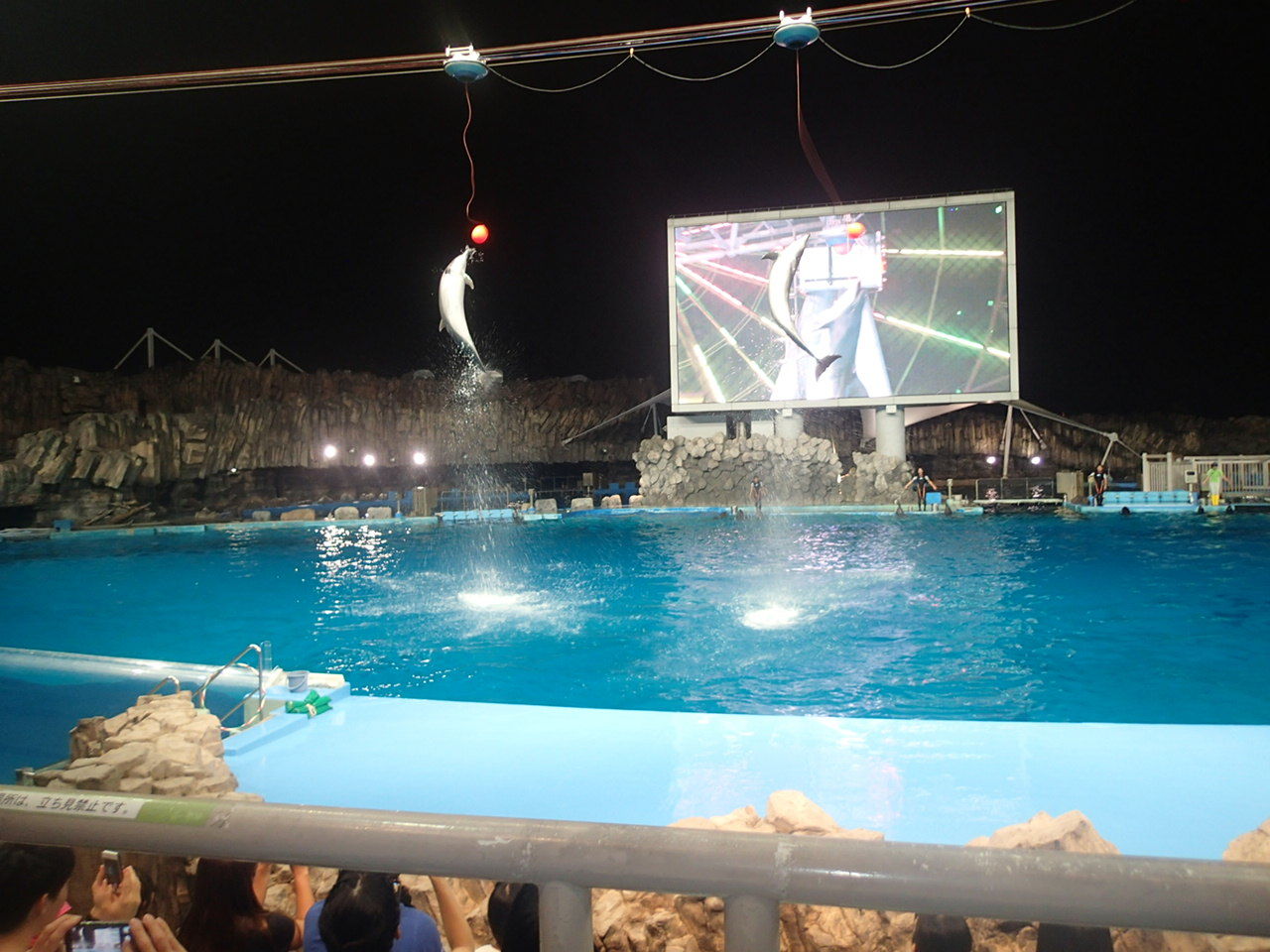夜の外出 名古屋港水族館 ひまわり福祉会 Key Do I Like 夜の外出 名古屋港水族館 ひまわり福祉会 Key Do I Like