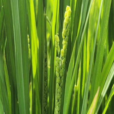 IMG_20230828_094304_485