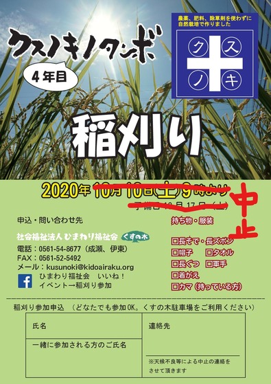 クスノキノタンボ稲刈りーチラシ 中止