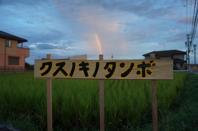DSC07001