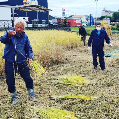 IMG_20251031_145118_826