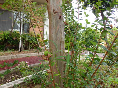P7250237