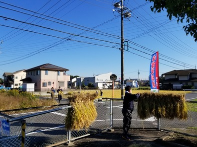 [画像:863b716d-s.jpg]