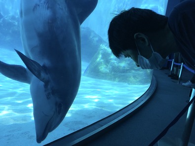 ④