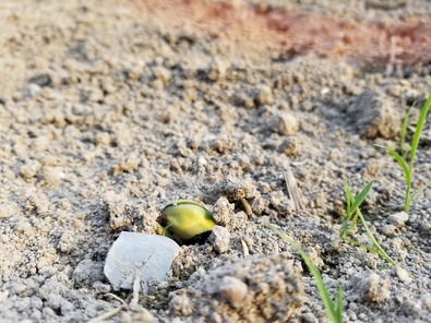 20180626_173236