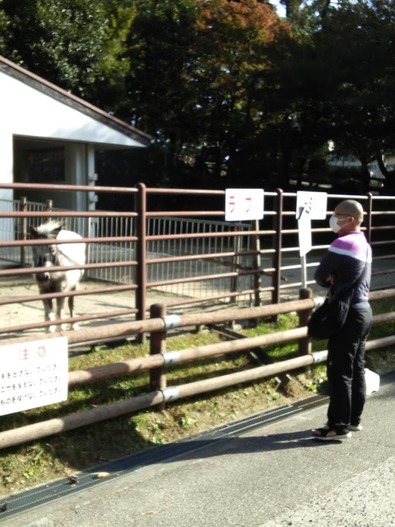 saved_file_1699658886548