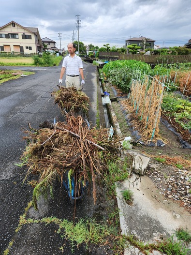 20250811_144251 (002)