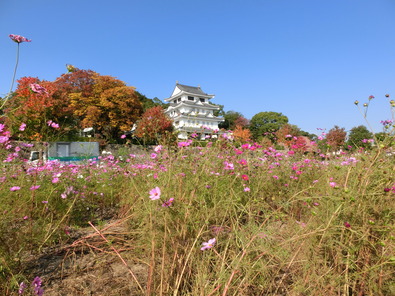 CIMG0447