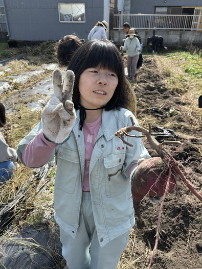 芋掘り (5)