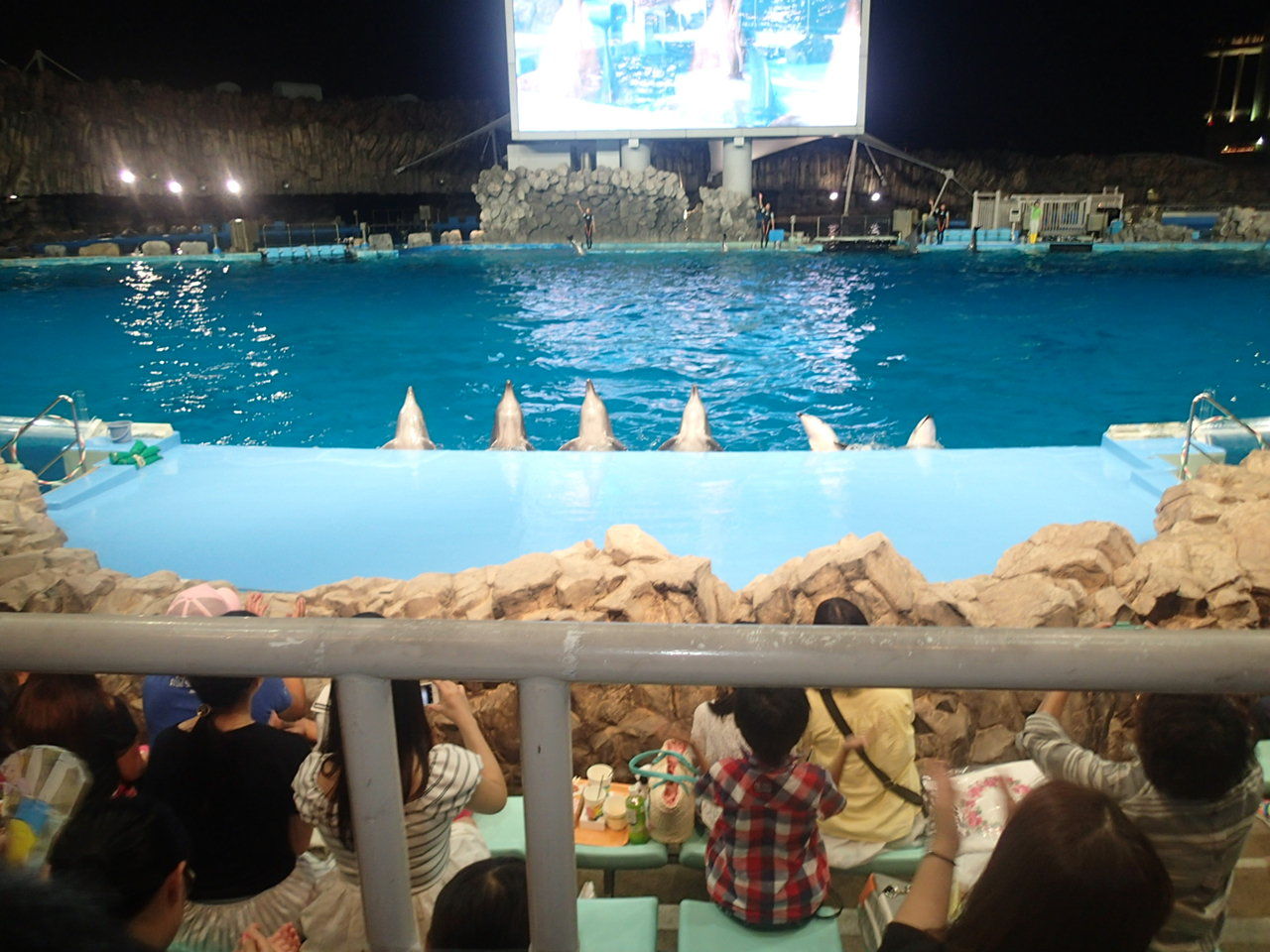 夜の外出 名古屋港水族館 ひまわり福祉会 Key Do I Like 夜の外出 名古屋港水族館 ひまわり福祉会 Key Do I Like