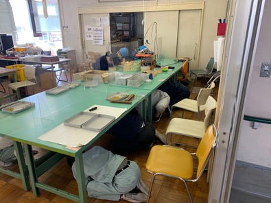 line_113843564347195