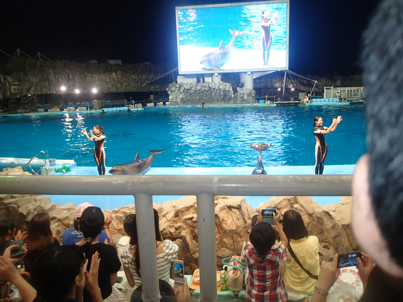 夜の外出 名古屋港水族館 ひまわり福祉会 Key Do I Like 夜の外出 名古屋港水族館 ひまわり福祉会 Key Do I Like