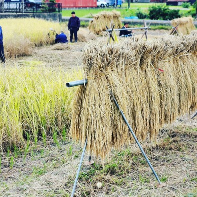 IMG_20251031_145118_941