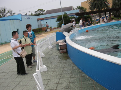 イルカに驚く二人