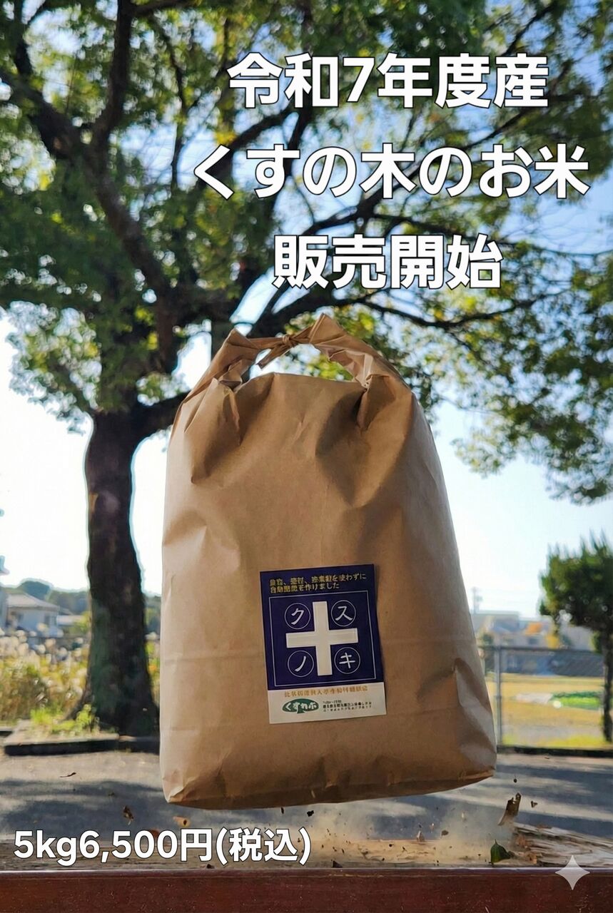 令和7年度産 くすの木のお米 販売開始のお知らせ : ひまわり福祉会~KEY