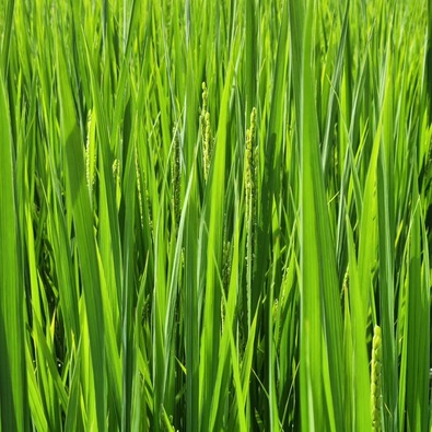 IMG_20230828_094304_413