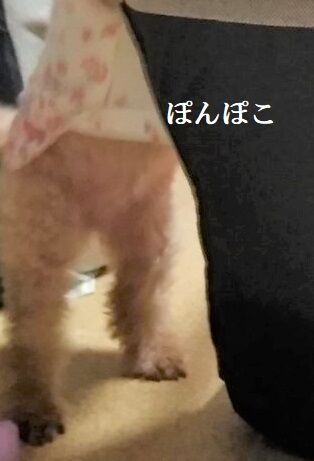 IMG_20200810_215339879 (1) - コピー