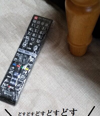 IMG_20200809_102938513