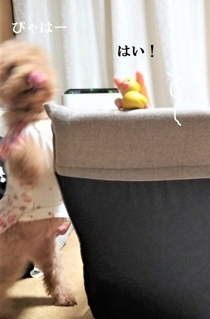 IMG_20200810_215340915