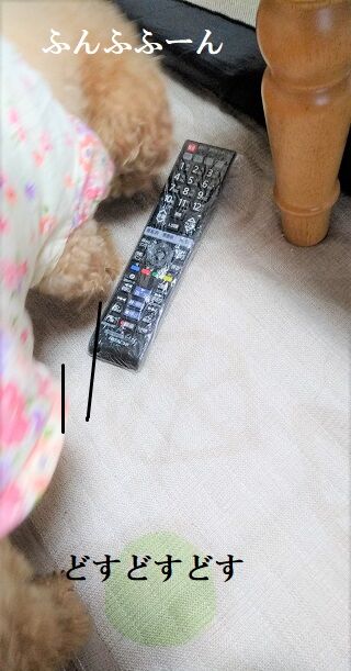 IMG_20200809_102943237