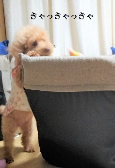 IMG_20200810_215339879 (1)