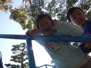 DSC03951