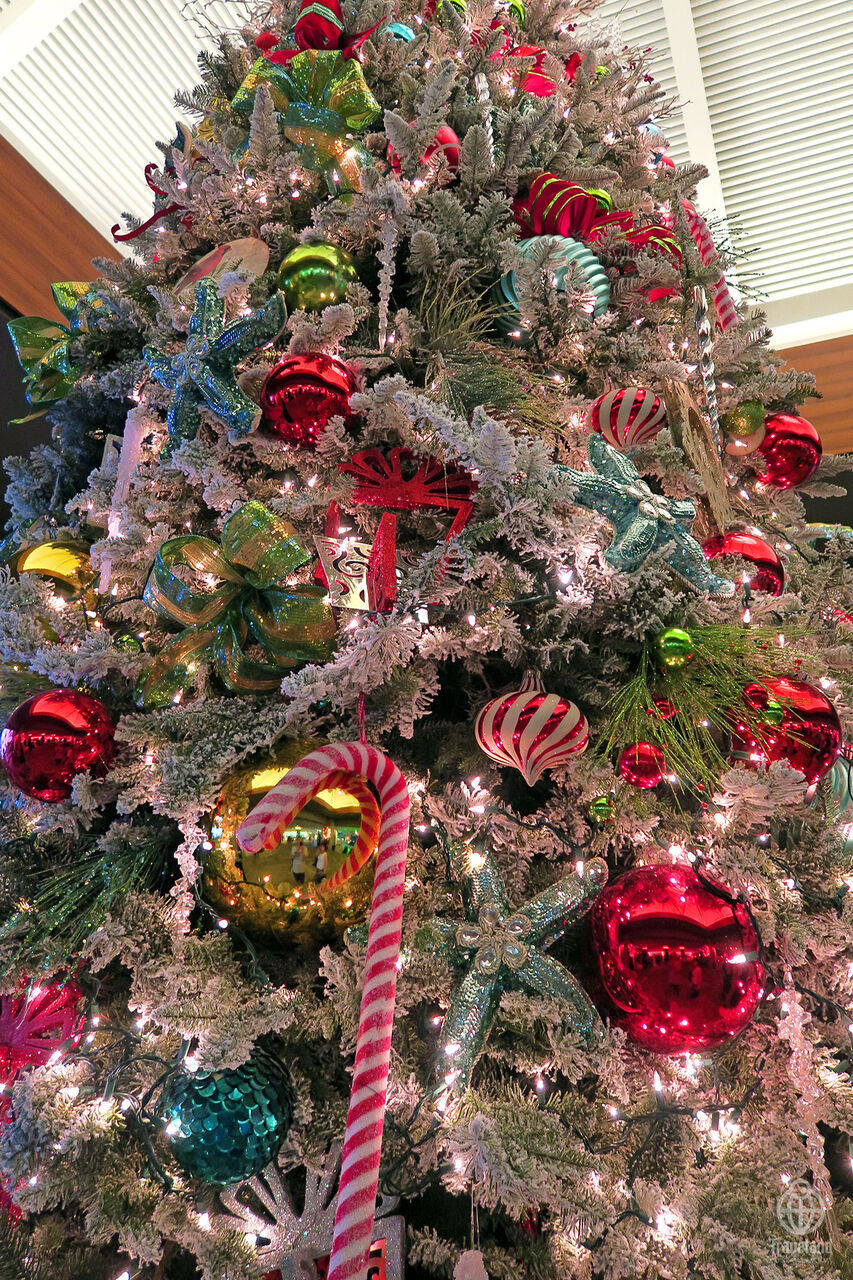クリスマスツリー ヨコ旅