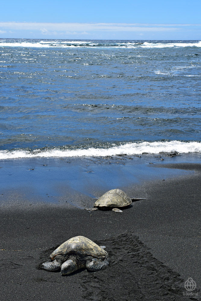 プナルウ黒砂海岸 ヨコ旅 プナルウ黒砂海岸 ヨコ旅