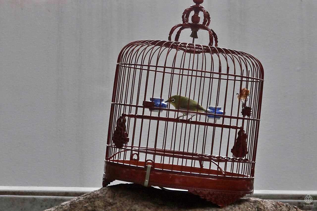 香港鳥籠 Deep in Asia 79：バードストリート : ヨコ旅