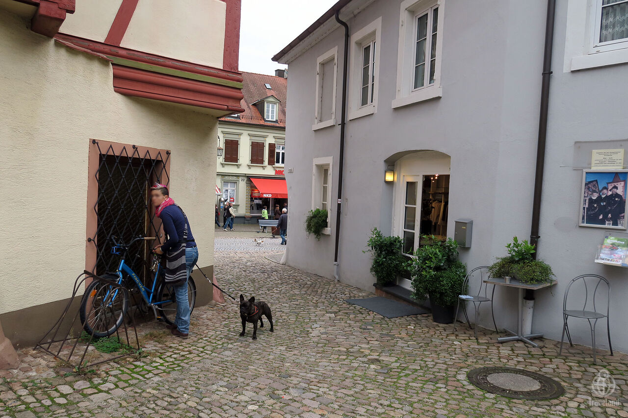 世界いぬ歩き5 ドイツ ヨコ旅