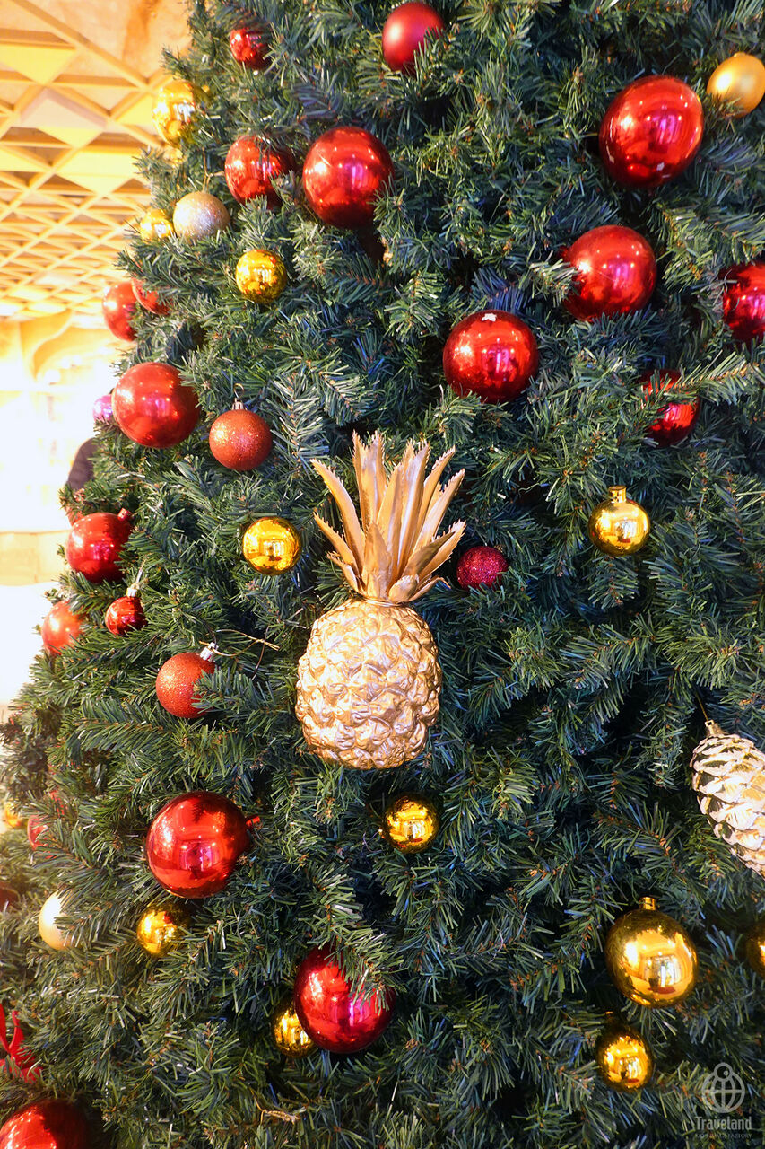 クリスマスツリー ヨコ旅