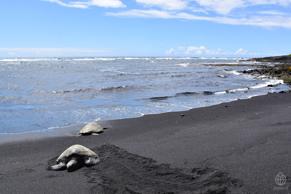 プナルウ黒砂海岸 ヨコ旅 プナルウ黒砂海岸 ヨコ旅