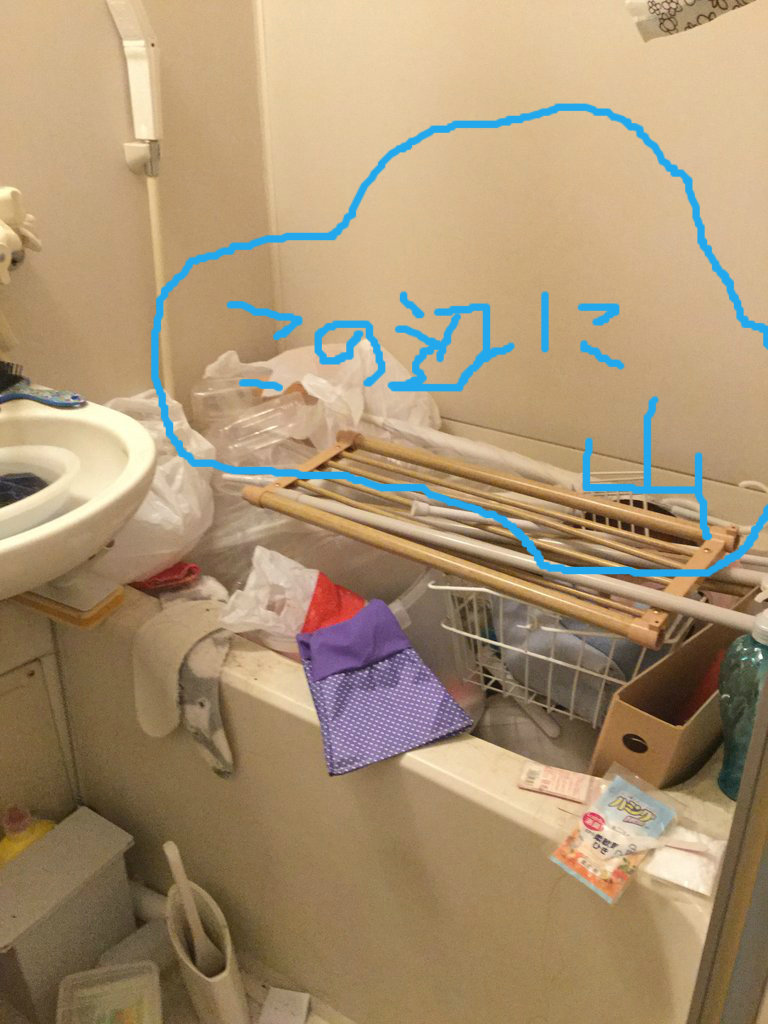 日目 チリコ腐海の入口に立つ 脱 汚部屋への道