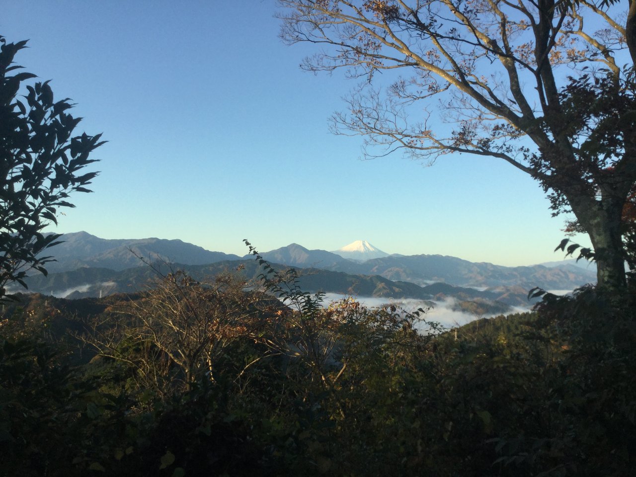 13日目 仕分け まとめだけ 脱 汚部屋への道