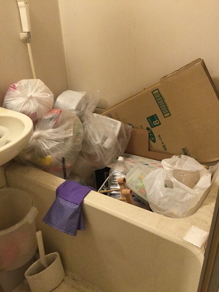 日目 チリコ腐海の入口に立つ 脱 汚部屋への道