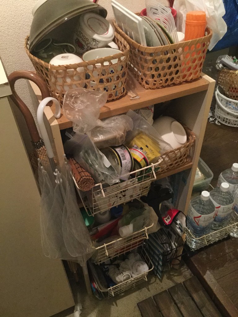 37日目 玄関のカラーボックスを整える 脱 汚部屋への道 37日目 玄関のカラーボックスを整える 脱 汚部屋への道