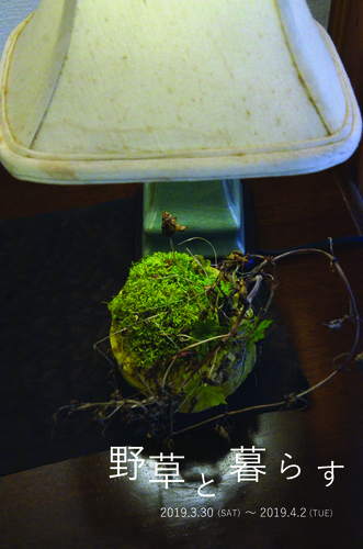 鎌倉個展2019裏