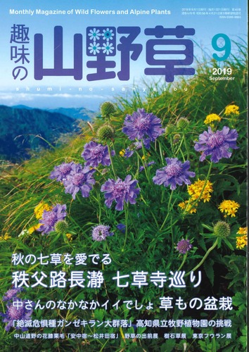 20190820114844634_0001
