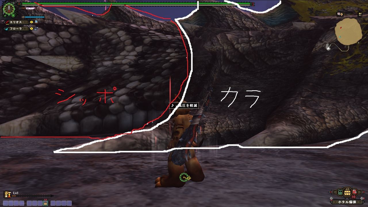 Gラヴィエンテ戦闘例 Mhf着ぐるみポカラ団 Pokhara愛が止まらない