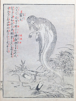 Konjakuzokuhyak3Tori_0014+