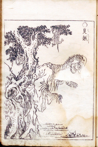 EDOM-11910-00025+