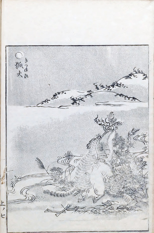 GazuHyakkiyagyo1Tori_0024