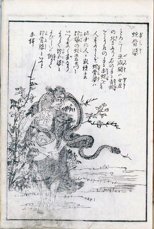 蛇骨婆