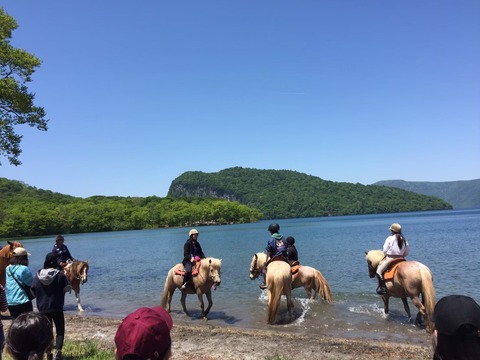 line_3690187322974