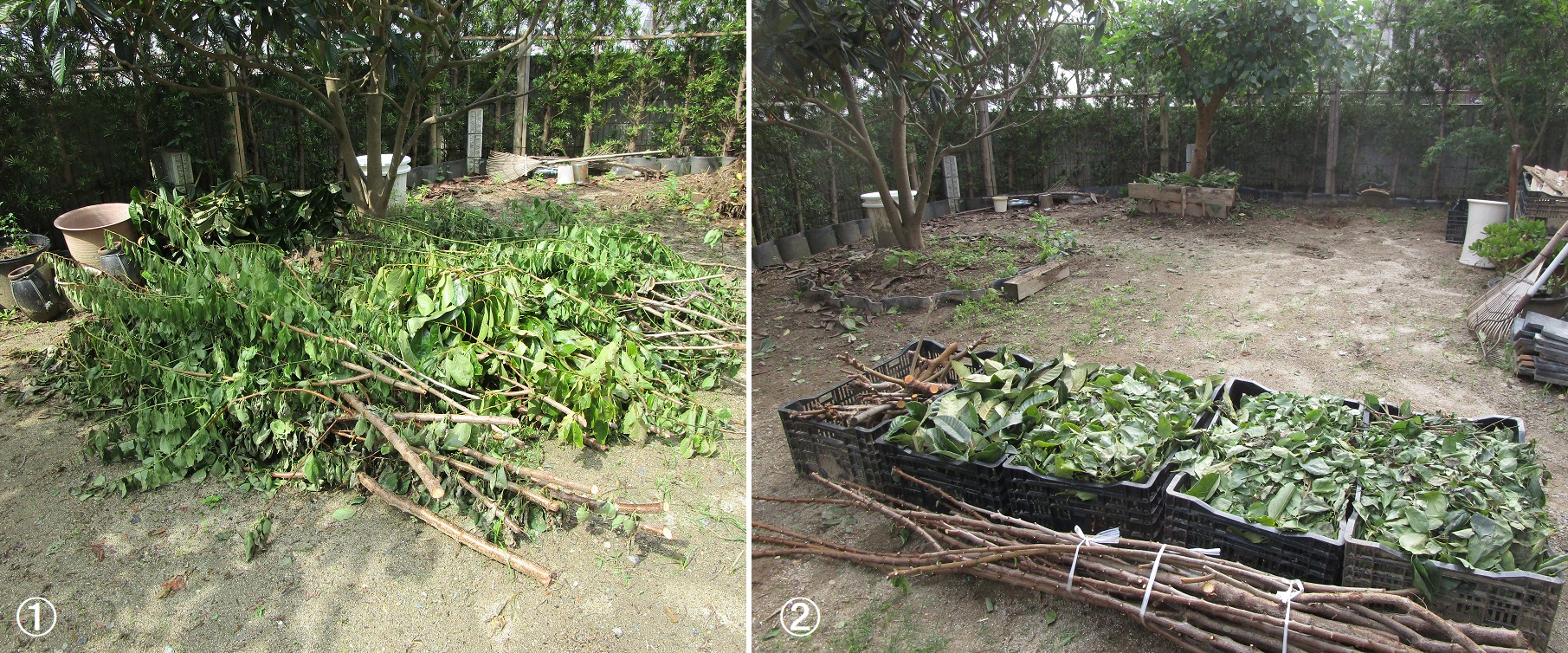 枝葉末節の処理 百菜園日誌