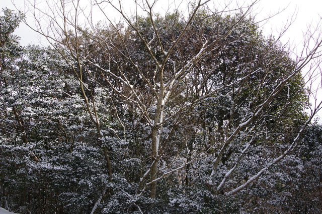 97E17715-97F3-4BF0-A8BE-C3282981C138
