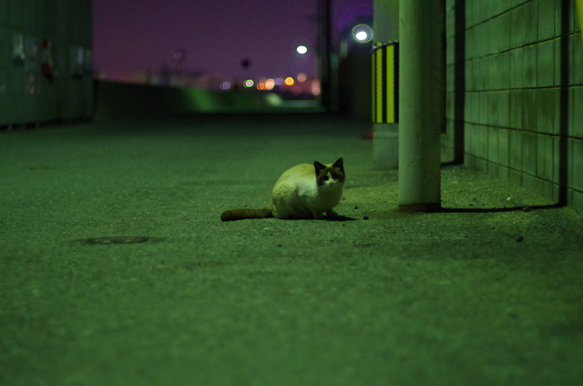 pentax20140223_46