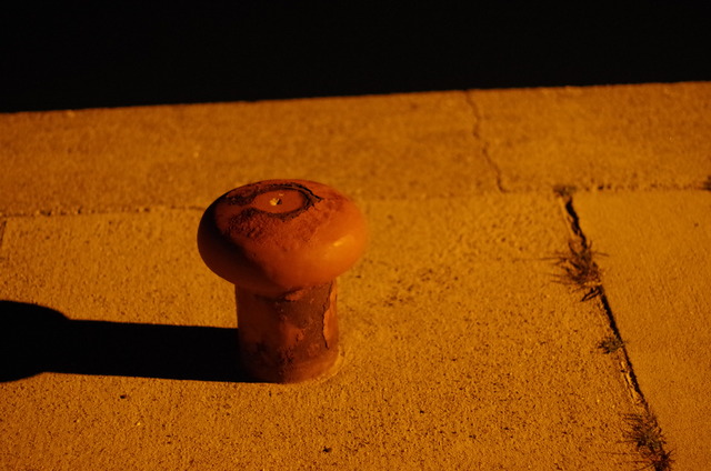 pentax20140223_31